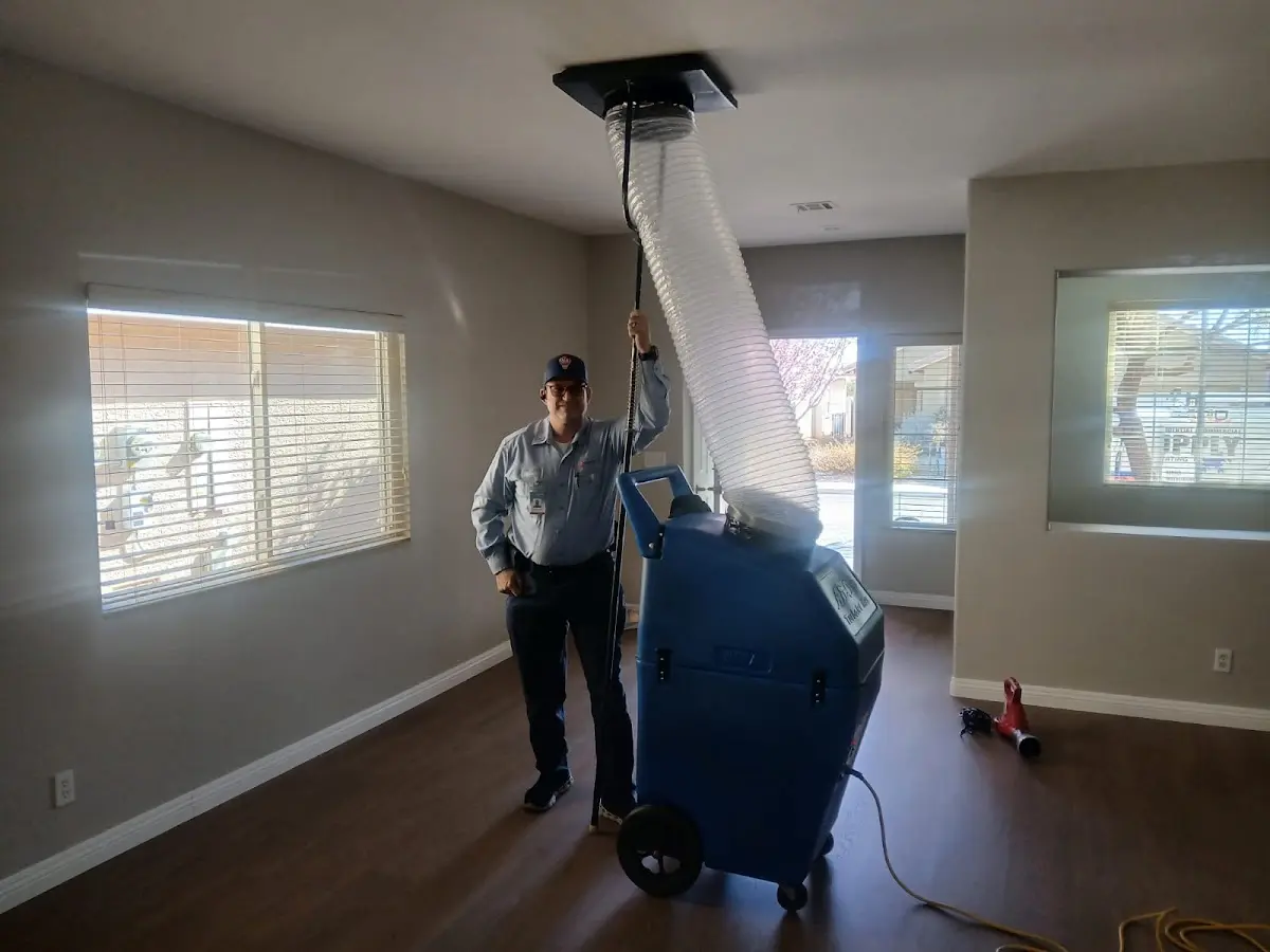 Professional Dryer Vent Cleaning work inside a Wauwatosa home